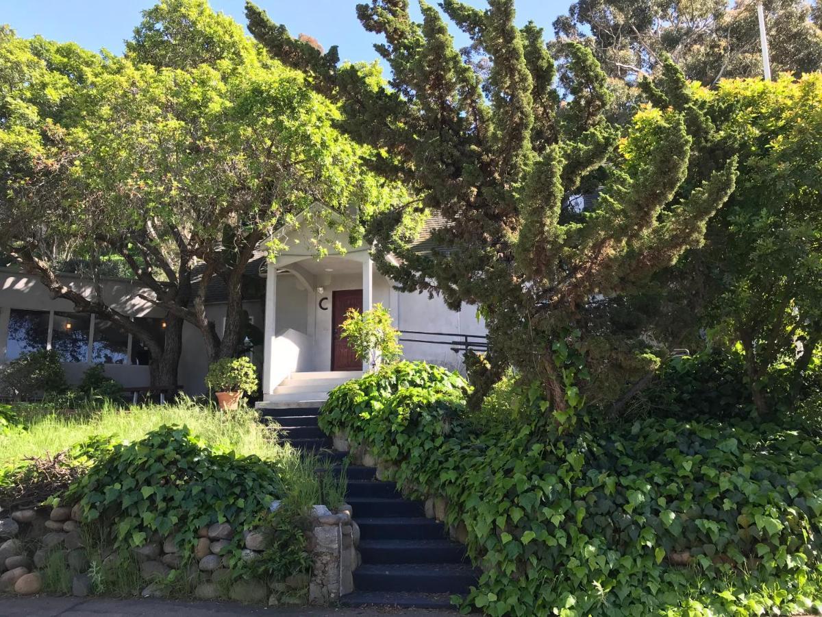 Secluded, Charming And Unique! Spacious Apartment Excellent Central Location San Diego Esterno foto